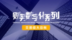 50+银行实际淬炼，，，，，，，行业独家企业级大总账再次双“项”并秀！
